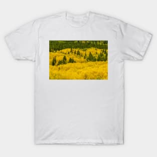 Colorado Gold T-Shirt